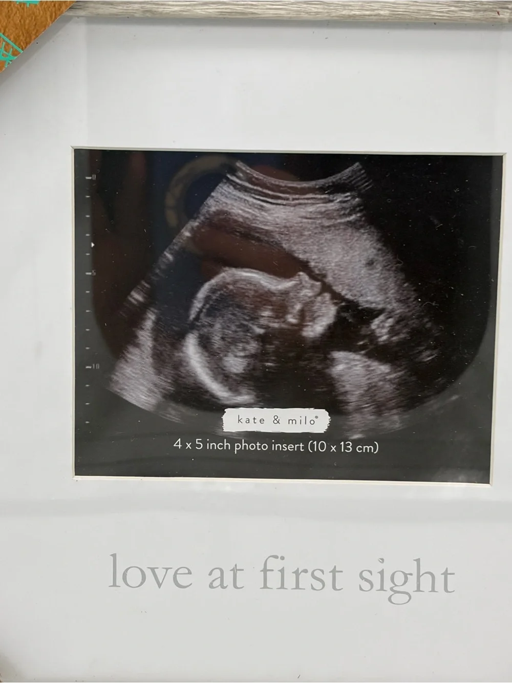 Kate and Milo Sonogram Frame. love at First Sight.